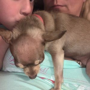 Meet your Posher, Jamie